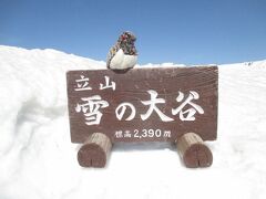 雪の大谷