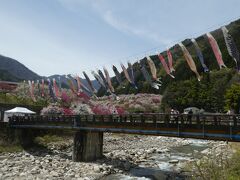 月川温泉郷は昼神温泉より上流の花桃の里です。
晴天にこいのぼりが気持ち良さそうに泳いでいました。