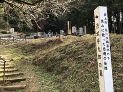 彰義隊の飯能戦争で死んだ渋沢平九郎のお墓です。