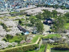 展望台から見る「函館奉行所」