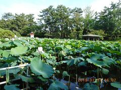 白山公園