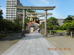 白山神社の鳥居を境内側から撮ってみました。一番奥の朱色の鳥居が道路側です。