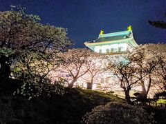 お城はライトアップされていますが、桜の木の照明は少ないので、写真を撮るのが難しいです。