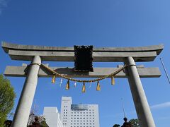 「さかえのやしろ」別称 越前東照宮です。