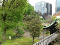 湯島聖堂の新緑