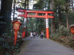 箱根神社にも。