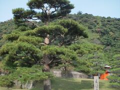 仙厳園
薩摩藩島津家別邸「名勝 仙巌園」は鹿児島にある日本を代表する大名庭園、世界文化遺産です。