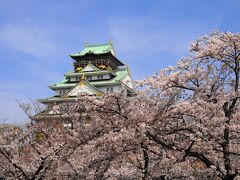 桜と天守閣のコントラスト。