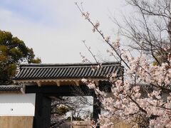 桜門と桜。