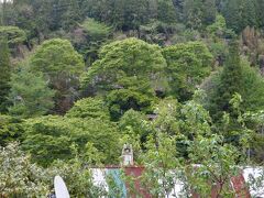 おはようございます　06:00頃起床
湯平温泉　上柳屋のお部屋からの眺めです
ほんと　山ですね