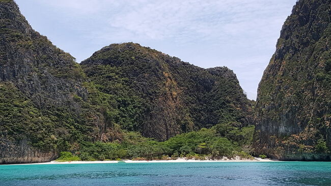 人の上陸が禁止になったことで、この白浜の手前の浅瀬は、サメの保育園状態だって。