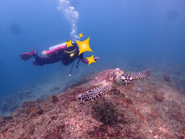 インストさんが最初に見つけたので、ゆっくり写真が撮れた。