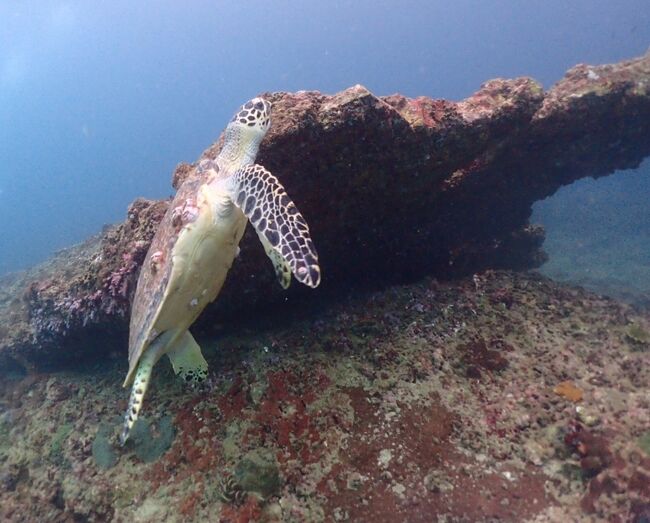空気を吸いに上がる？？？