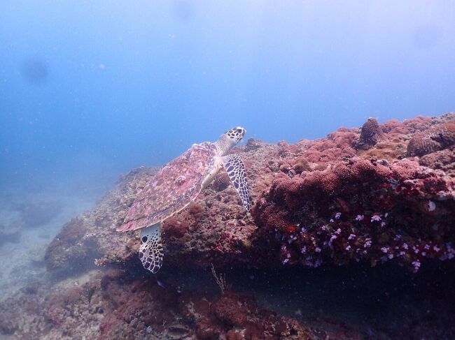 綺麗な場所で寝てるね。