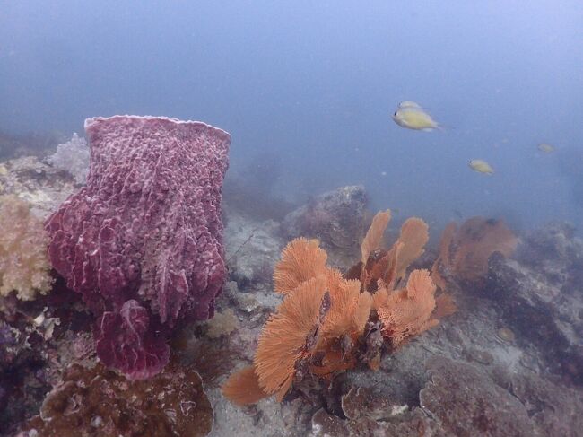 フィリピンもこのつぼあったなー。