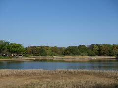 水鳥の池　眺めのテラスからの風景