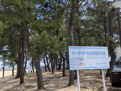 シーサイドももち海浜公園、
夏場は賑わいそうですね。