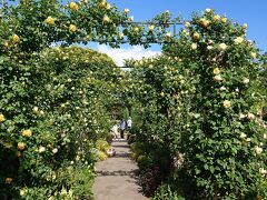 港の見える丘公園