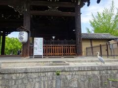 宝物館が特別拝観中だったので東寺へ
（年中開いているわけではないので）

それにしてもいつもいるこの鷺
今回も期待を裏切らず…