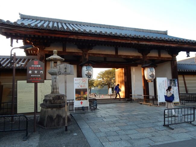 3年ぶりの京都 東寺の昼と夜』京都駅周辺(京都)の旅行記・ブログ by 