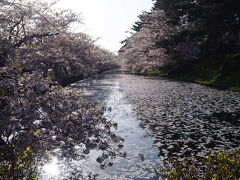 追手門から、公園内に入っていきます。
追手門横の外濠もなかなかステキ&#10024;