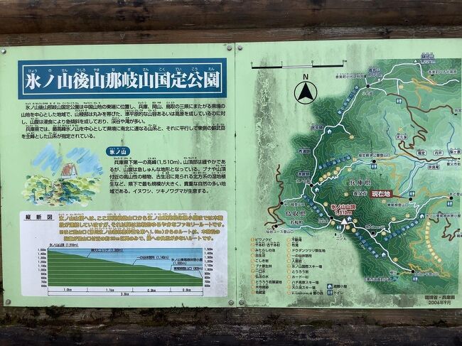 氷ノ山登山 氷ノ山越えコースより登頂 氷ノ山 ハチ高原 兵庫県 の旅行記 ブログ By モーさんさん フォートラベル