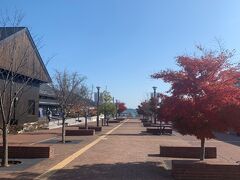 昼過ぎには女川駅前にある商店街「シーパルピア女川」に到着。女川駅から海に向かって伸びる商店街で土産店や飲食店が並びます。昼食はハマテラス内にある人気の店「お魚いちばおかせい本店」を予約しています。