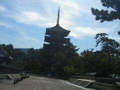 興福寺五重塔を遠目にパチリ。