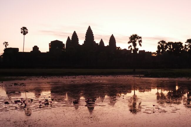 ■ アンコールワットの朝焼け