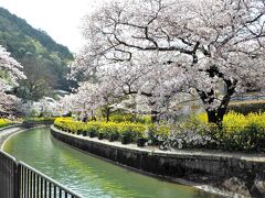 帰り道、再度山科疏水へ