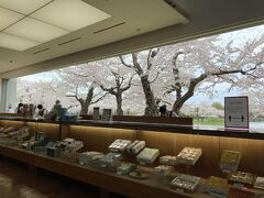 店内に入ったら、大きな窓から桜が見えます　なんだこの素敵な感じ
でもちょっと残念なのが、窓の手前はレジなんですよ　商品の棚より先には行けません　外に出れば桜はいっぱい見れるんですが、なんか残念　凡人には分からない計算された設計なのだろうとは思いますが、(-ω-;)ウーン　なんだか