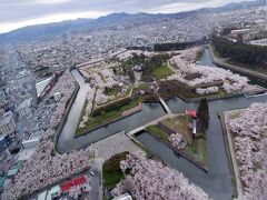 満開の桜でピンクの五稜郭　予想以上にすごすぎたわ
上から見ると桜が雪の結晶みたいに見えます

緑とピンクは見たので、次は白ですかね　え？また吹雪で欠航の未来しか見えませんか？

しかしタワーの窓枠邪魔ですね　現代の技術なら何とかなるんでしょうけど　立て直しの際には、枠なしでお願いします　手動での合成なので、ちょっと歪んじゃいました(´；ω；`)ｳｩｩ