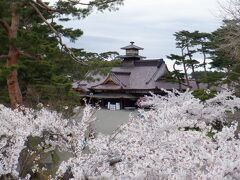 箱館奉行所跡とソメイヨシノ