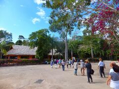 セノーテ・イキル（Cenote Ik-Kil）
チチェンイッツァ遺跡の近くにあるセノーテに来ました。