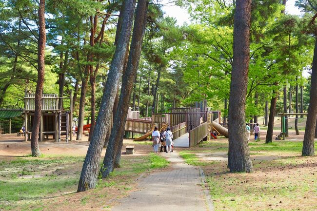 21年春 青の絶景 丘と空がつながるネモフィラの国営ひたち海浜公園 ひたちなか 茨城県 の旅行記 ブログ By イケさん フォートラベル