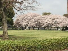 入間市民広場