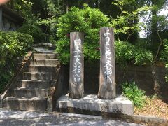 日本一の大杉を見に来ました