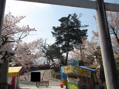 ちょうど信夫山で桜祭りが開催されていたようです
９時前ぐらいの早い時間だったので
まだ開いているお店は半分ほど