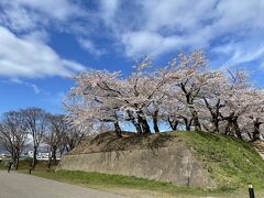 五稜郭内も散策しました。桜が多くどこを見ても幻想的で美しかったです。