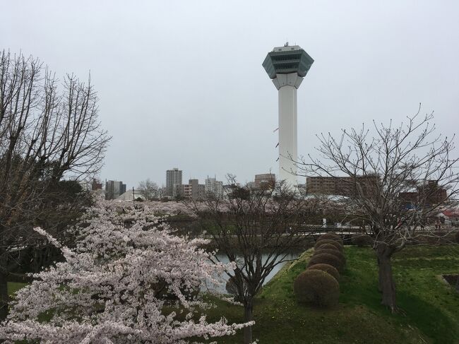 今日は最終日。<br />五稜郭方面に行きましょう。<br />桜まつりで満開の桜。<br />こんなにも桜の木があるなんて知らなかった。<br />