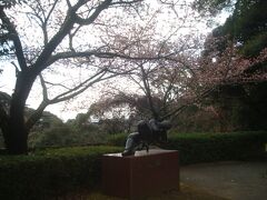 25分程かけて、澤田政廣記念美術館まで来ました。
薄ピンクの花が咲いています。桜でしょうか？