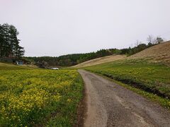 中山高原