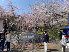 桜の時期に桜と海と電車のコラボの能登鹿島駅（能登さくら駅）に来てみたかったので。
駐車場があり、それなりに車はありましたが、少し待って、停めることができました。
桜の時期は、混雑するらしいのですが、コロナの影響か、例年よりは少ないようです。