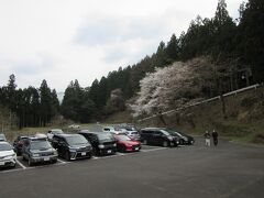 「道の駅　織部の里・もとす」から「淡墨公園」にやって来ました
「道の駅　織部の里・もとす」から「淡墨公園」は国道157号線で20km程の道のり

普段私が訪れるダム等と違って有名な観光地なので、しっかりとした駐車場が整備されています。