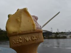 日本海の荒波を模した水槽が迫力あってじっくり見たかったんですが、ご家族、カップルが続々入ってくるので離脱。

巡回バスの割引使ってアイス購入！美味しい！
雨降って寒いけど（笑）