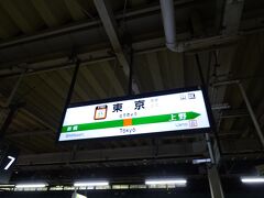 あっという間に東京駅。
ほんの少しだけ日常から離れられただけでもステキな時間でした。