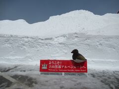 雪の大谷