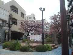 糸川沿いへ到着。糸川桜まつり開催中です。
ホームページでは7～8分咲きと書かれており、じゅうぶん桜を楽しめました。