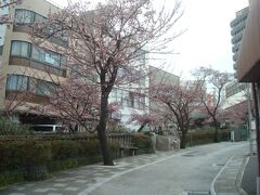 糸川遊歩道の散策を10分程楽しみました。