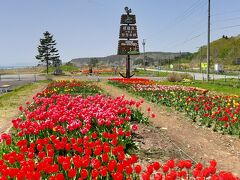 桜がまだ咲いていれば松前まで行くことを考えていましたが、
桜は終わっていそうでした。

なので木古内まで走って折り返すことに。

途中で見えた綺麗なチューリップ畑。